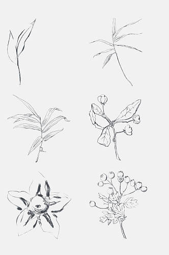 卡通枝叶线条植物花卉免抠元素