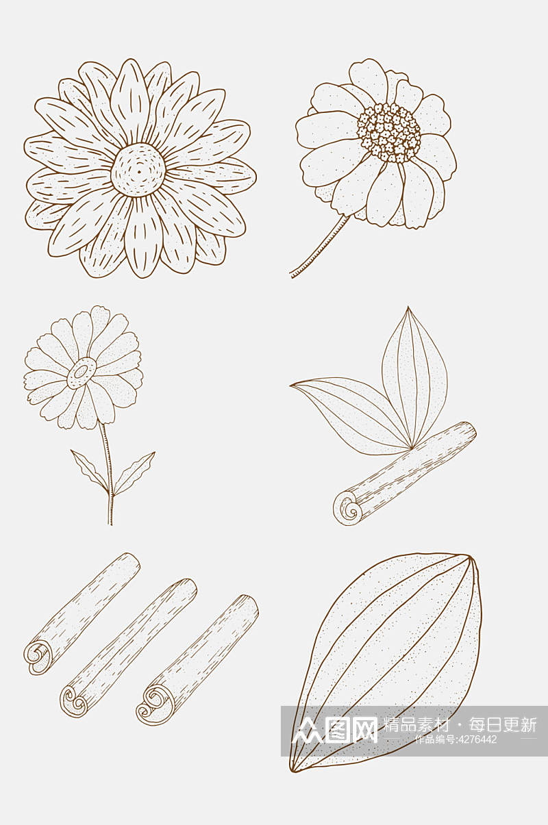 花蕊手绘植物花卉线稿免抠素材素材