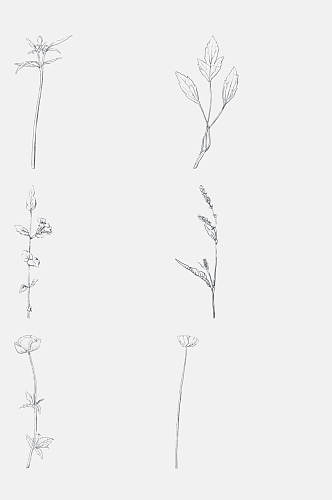 卡通枝叶线稿植物花卉免抠元素