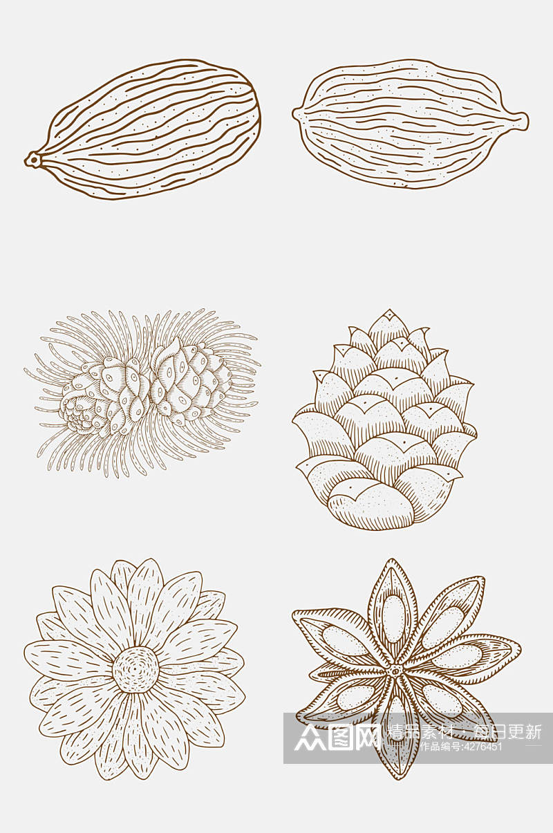正视图手绘植物花卉线稿免抠素材素材