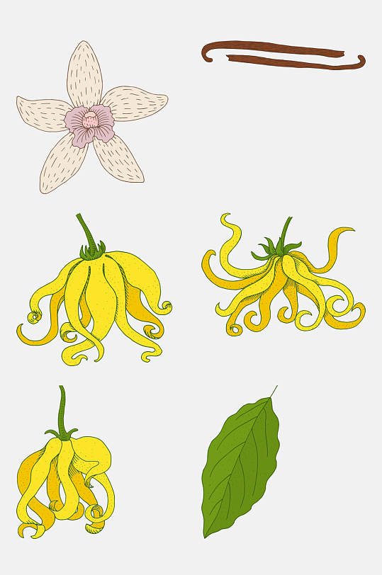 黄色佛手瓜卡通植物插画免抠素材