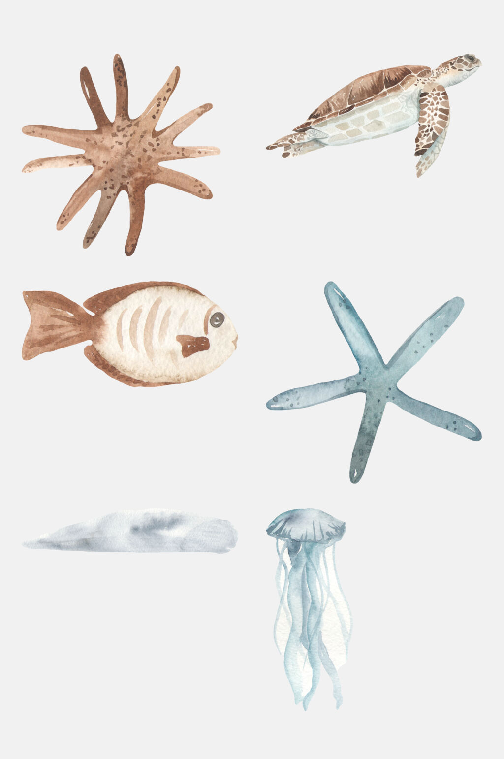 创意海龟海星海底动物免抠素材素材