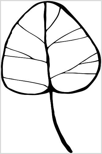 叶子黑白创意高端线描花卉矢量素材