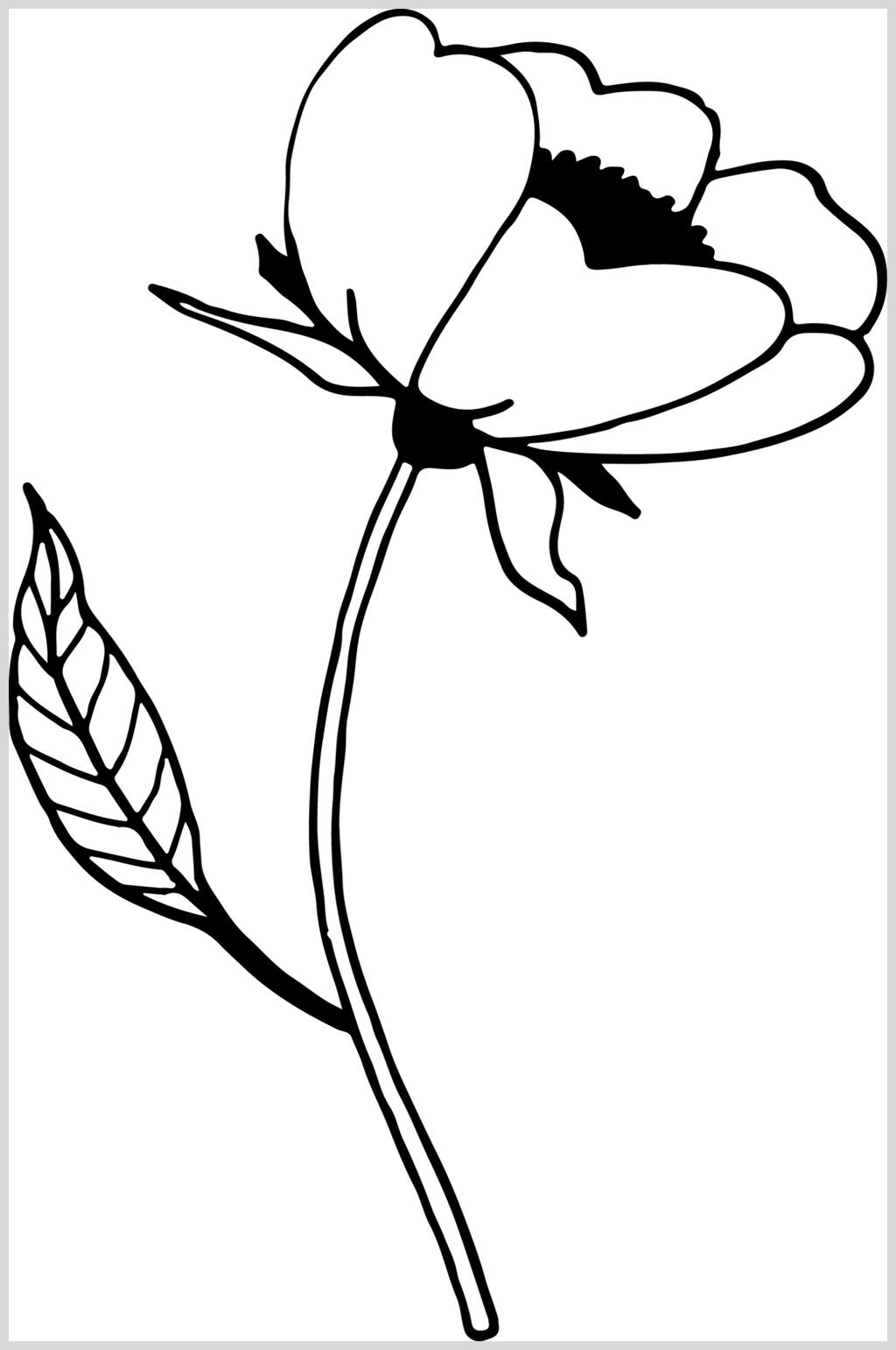 简约线描花卉矢量素材素材