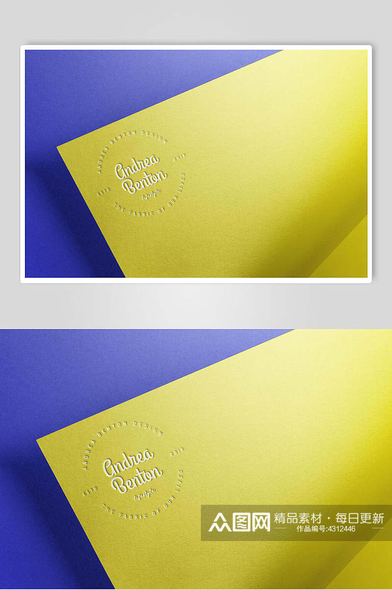 蓝黄色英文清新标志LOGO展示样机素材