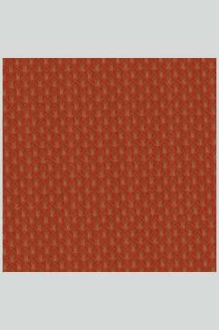 红色大气水光布纹布料图片