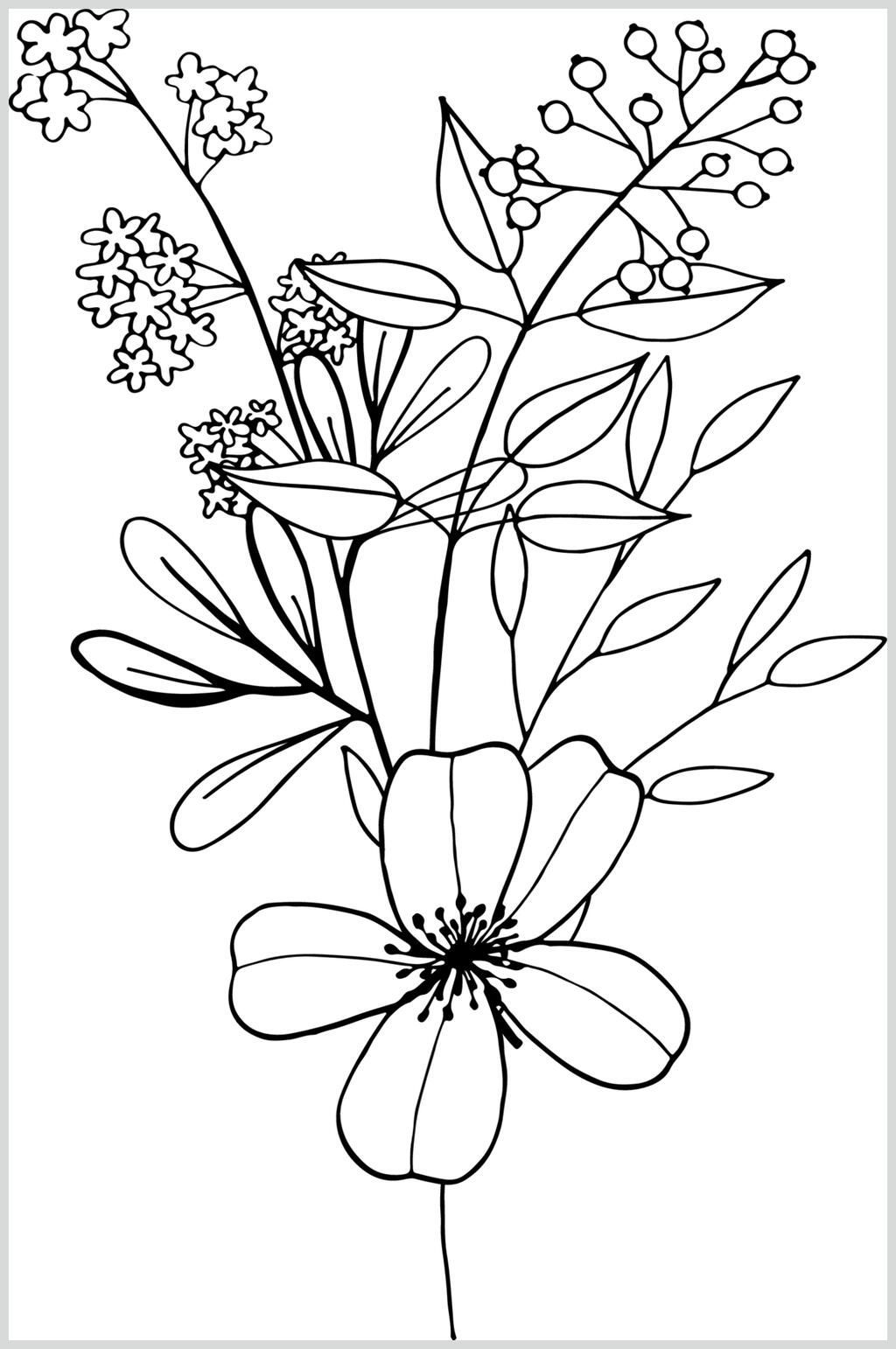 黑白植物各类线描花卉矢量素材