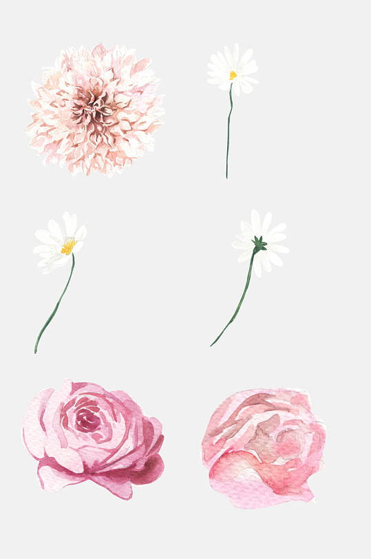 创意菊花水彩植物花卉免抠元素
