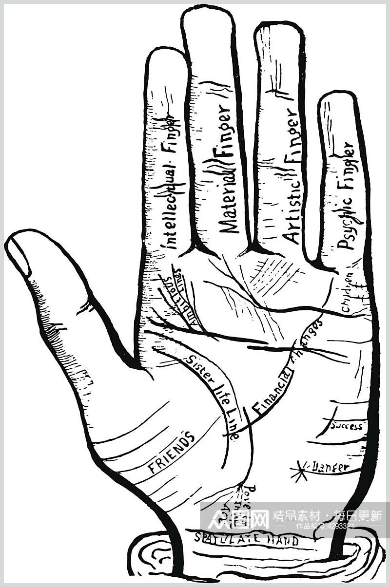 手绘黑白手掌占星术图案矢量素材素材