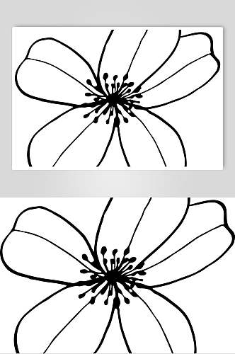 简约花心线描花卉矢量素材
