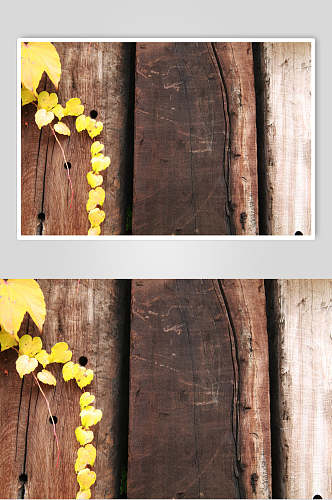 黄色叶子木纹木材纹理图片