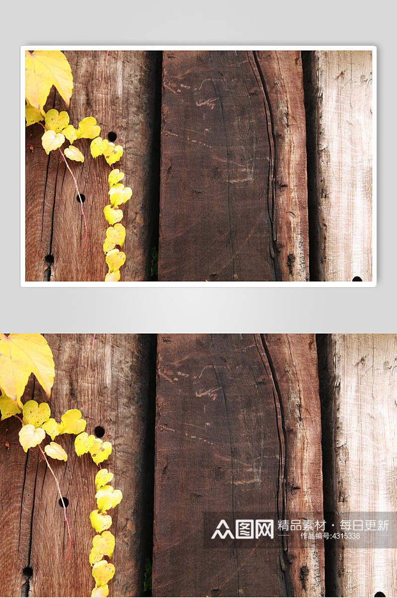 黄色叶子木纹木材纹理图片素材
