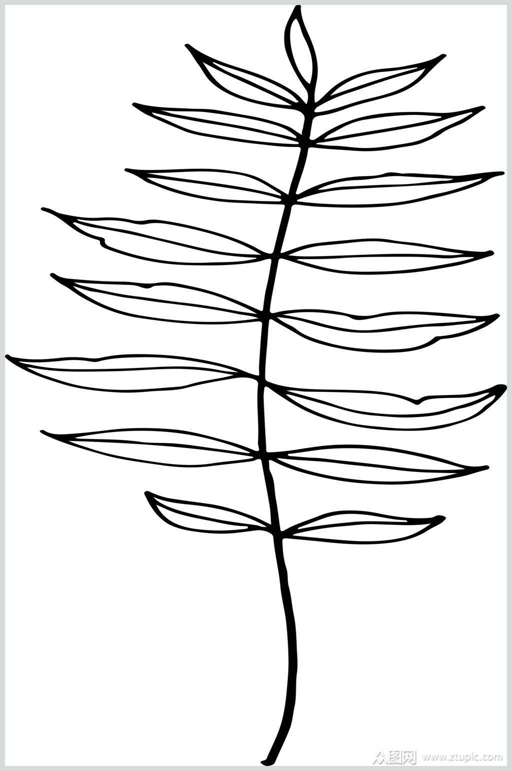 简约雅致黑白叶子线描花卉矢量素材素材