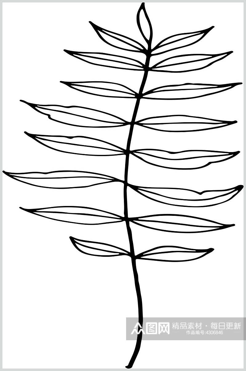 简约雅致黑白叶子线描花卉矢量素材素材