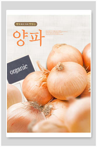 洋葱韩国美食海报