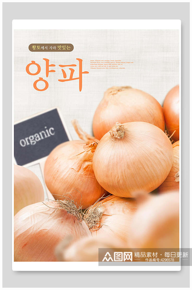 洋葱韩国美食海报素材