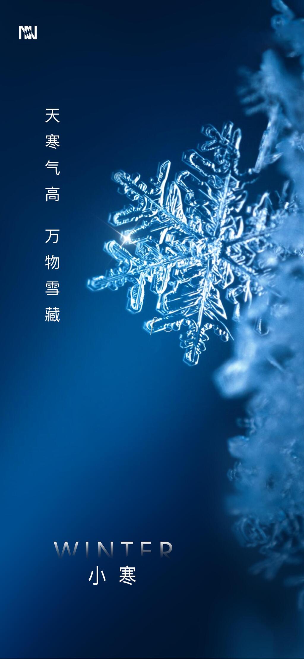 雪花片冬季节气H长图素材