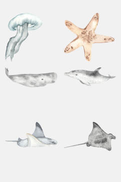 手绘水母水彩海洋动植物免抠素材