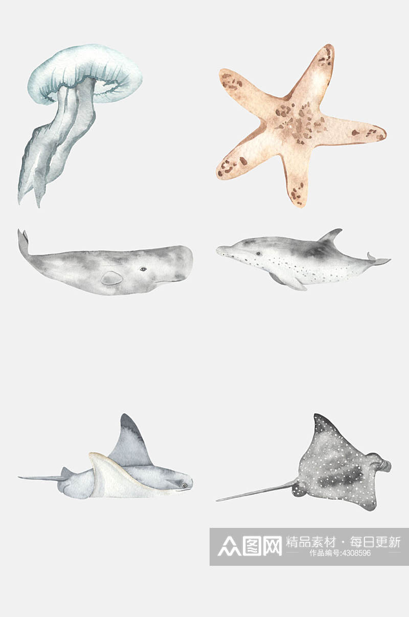 手绘水母水彩海洋动植物免抠素材素材