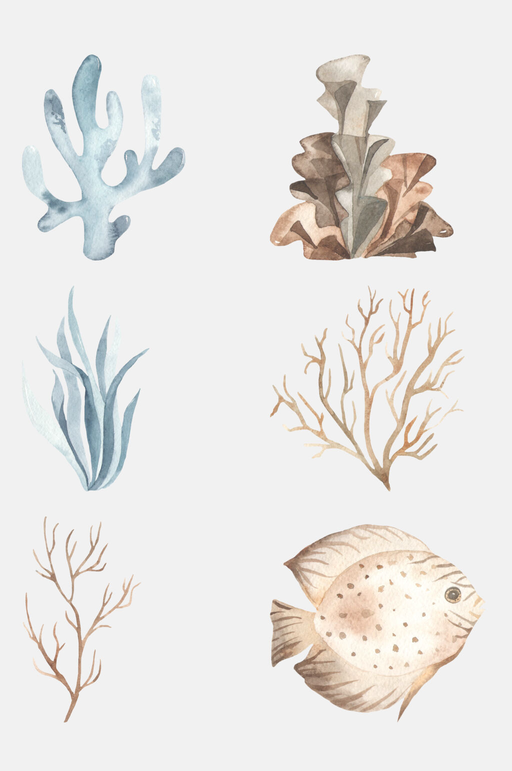 美丽珊瑚水彩海洋动植物免抠素材