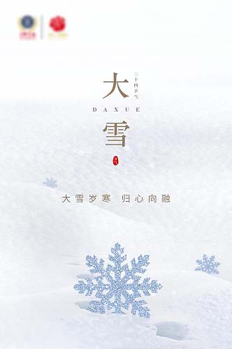 雪花冬季节气H长图