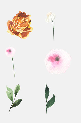 唯美手绘花朵水彩植物花卉免抠元素