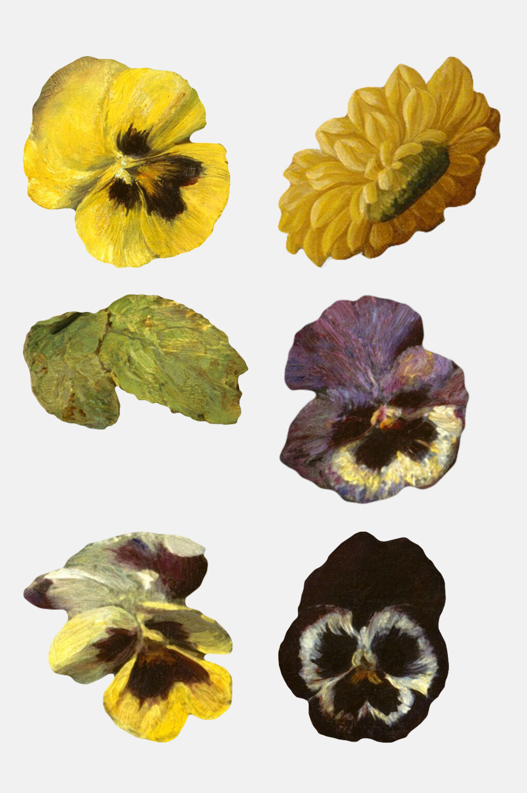 叶子花朵唯美清新复古花卉免抠元素素材