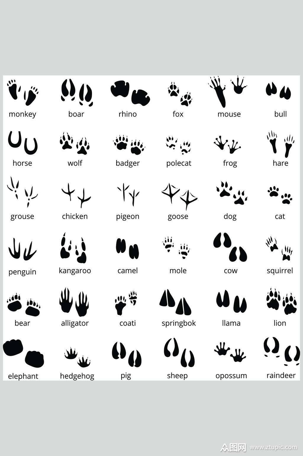 黑白爪印猫狗宠物店图标矢量素材素材