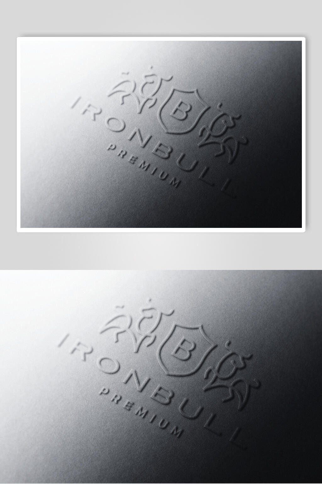 盾牌英文字母标志LOGO展示样机素材