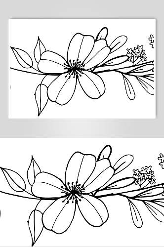 叶子手绘创意高端线描花卉矢量素材