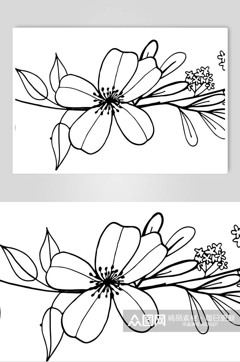 叶子手绘创意高端线描花卉矢量素材素材