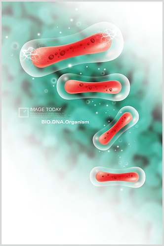红色长条细胞分子素材
