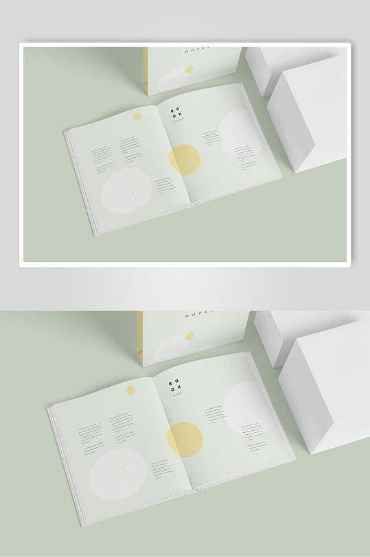 小清新时尚创意书籍封套样机