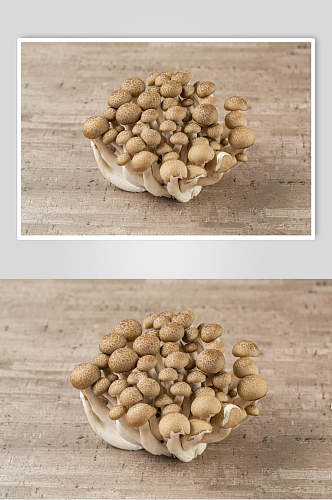 小蘑菇一坨麻辣烫菜摄影图片