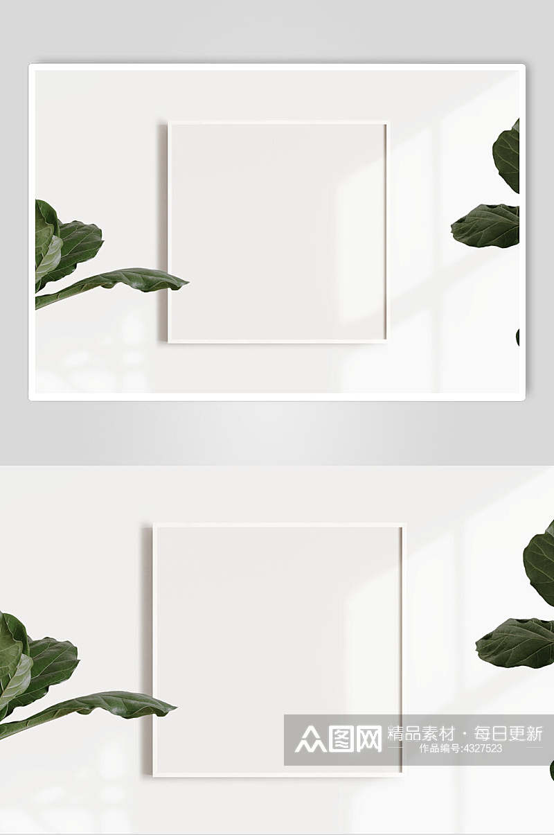 植物方形创意高端白色相框展示样机素材