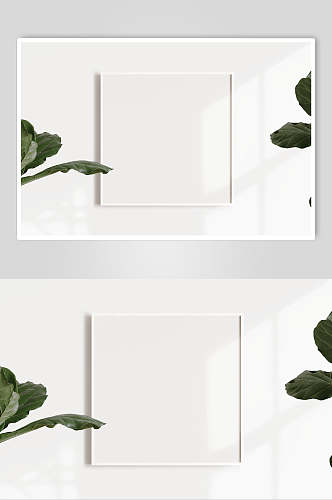 植物方形创意高端白色相框展示样机