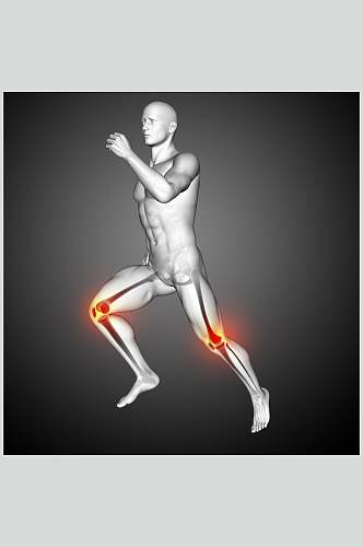 膝盖模型人体骨骼图片