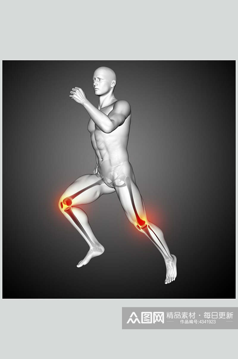 膝盖模型人体骨骼图片素材