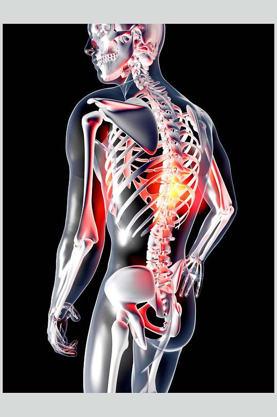 骨安松热感贴人体骨骼图片