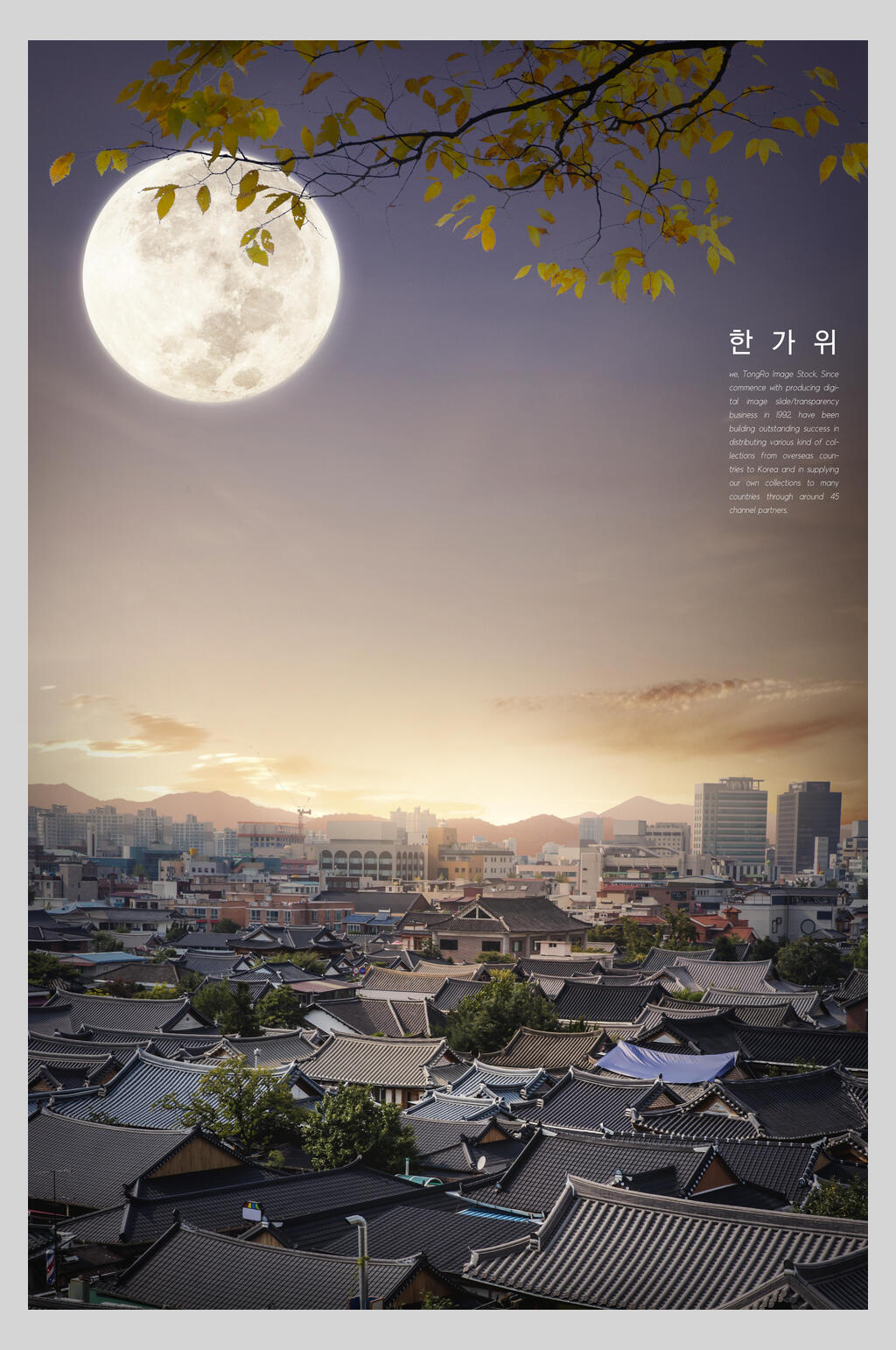 唯美简约韩国中秋节海报素材