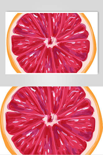 雪橙手绘水果矢量素材