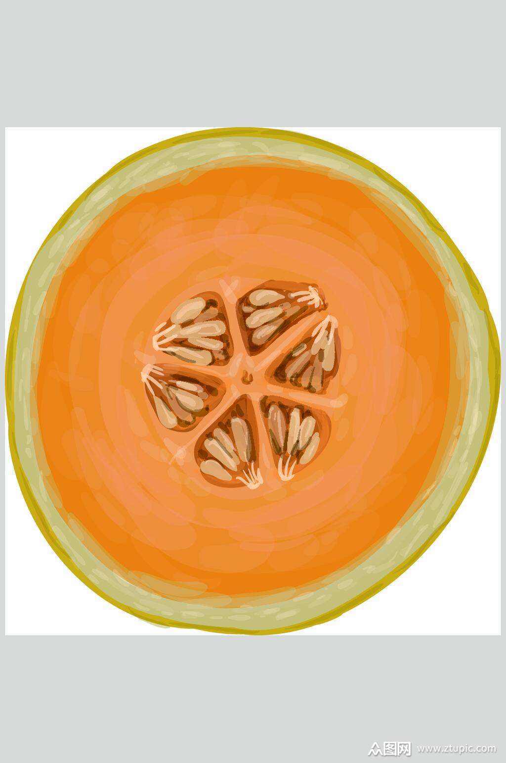 美味哈密瓜手绘水果矢量素材素材