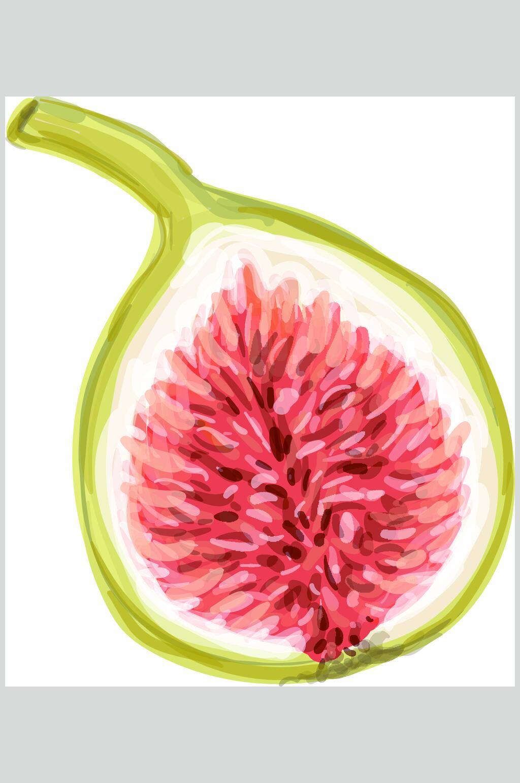 美味无花果手绘水果矢量素材素材