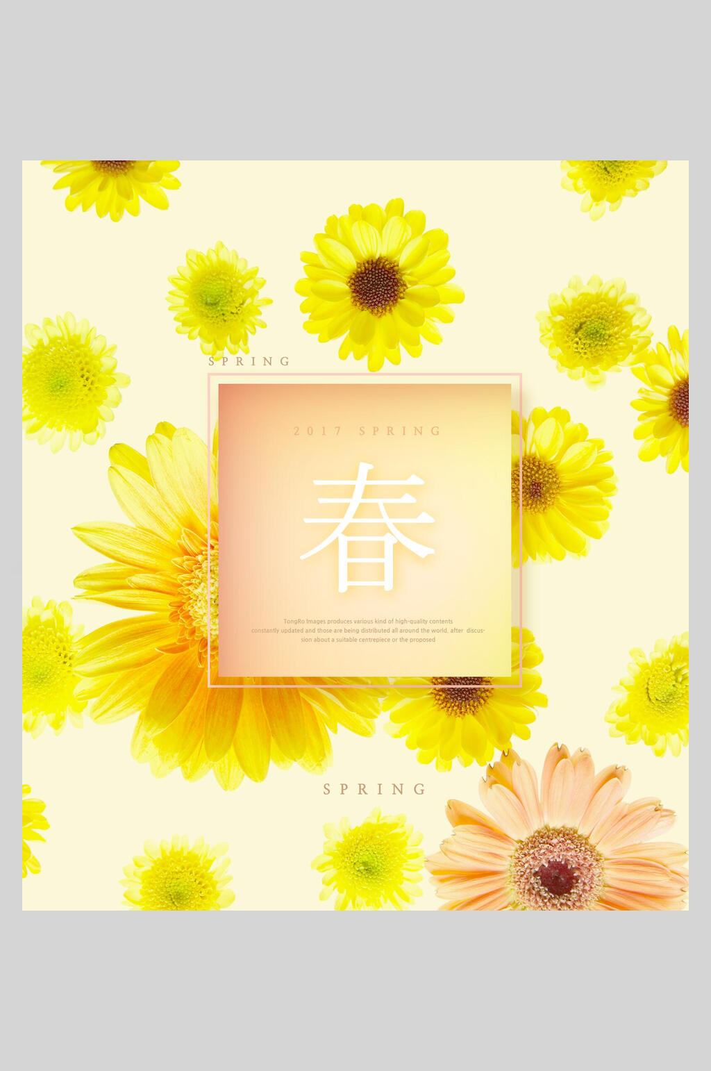小雏菊春天海报素材