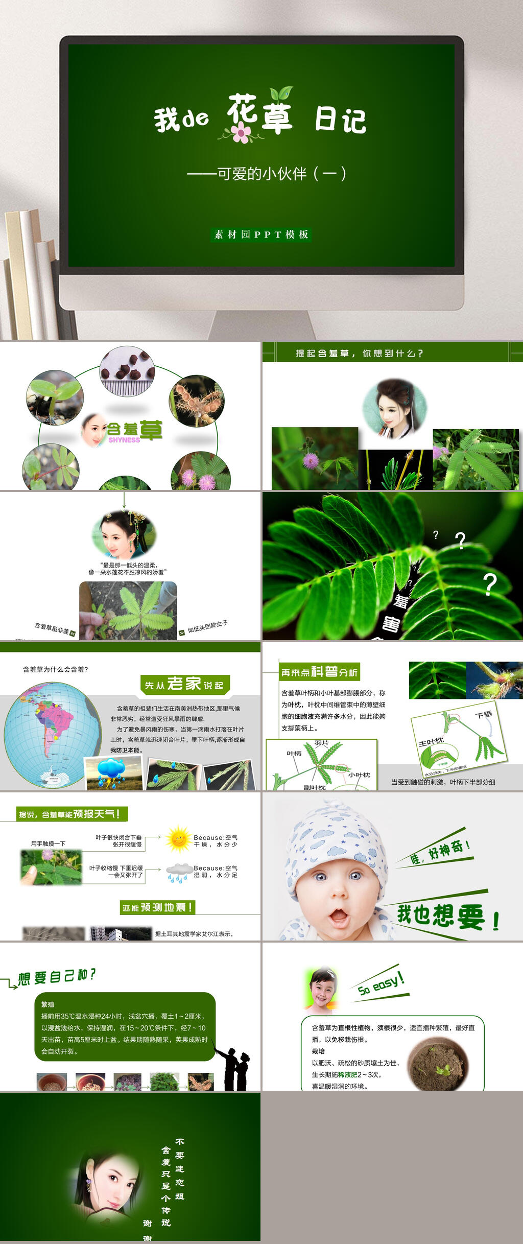 我的花草日记时尚卡通可爱儿童PPT素材