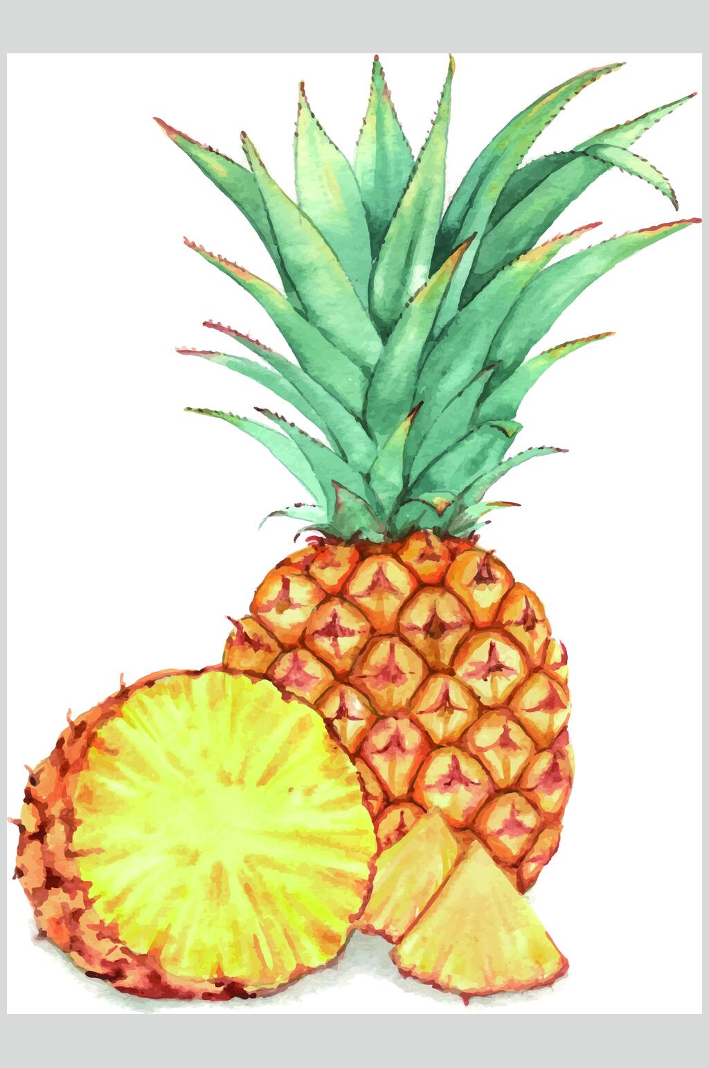 菠萝手绘水果矢量素材素材