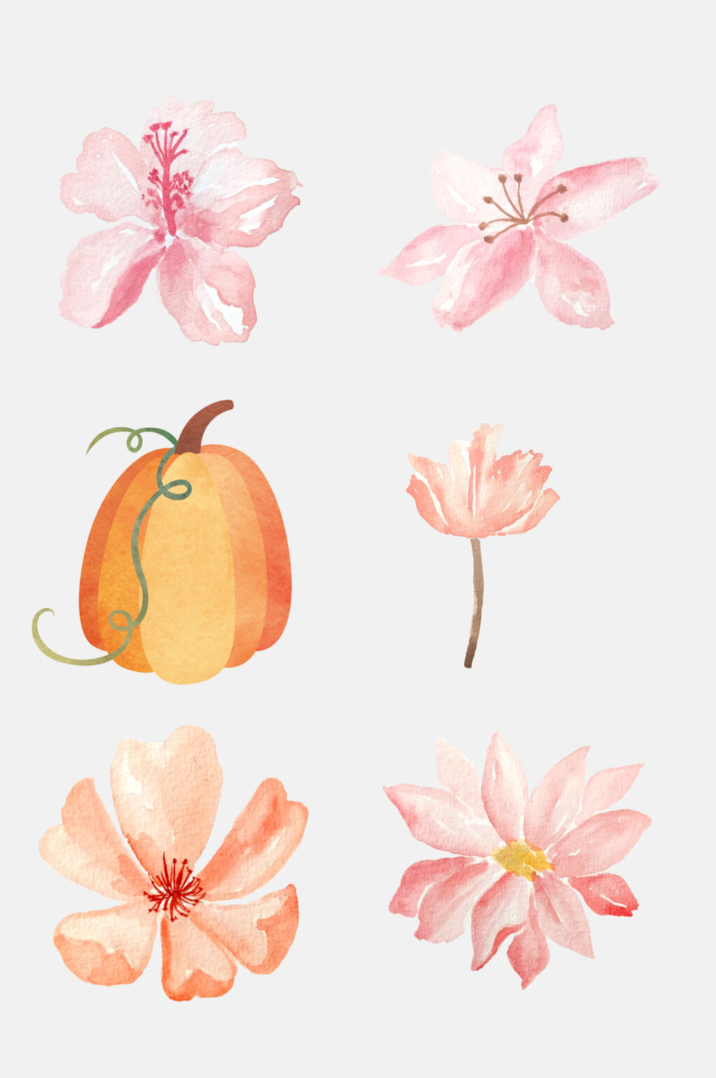 粉色花朵手绘派对物品免抠素材素材