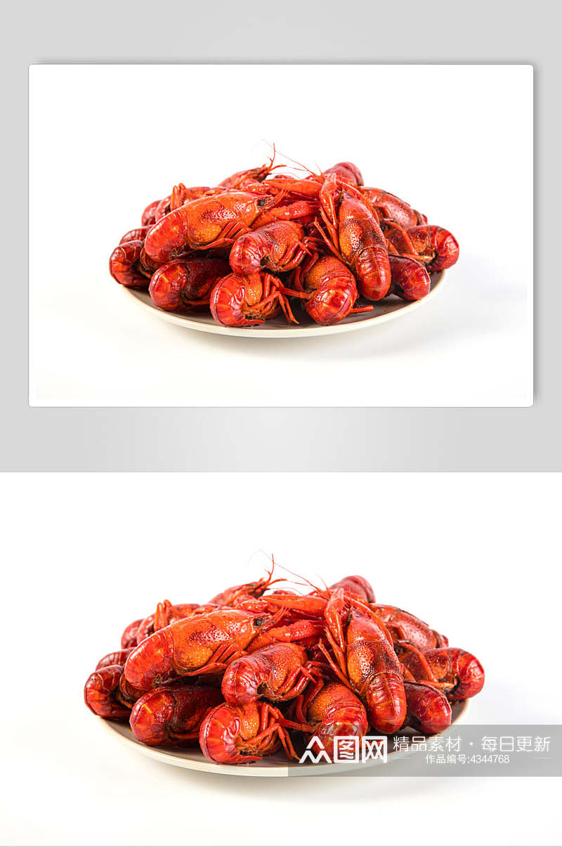 红色极简小龙虾图片素材