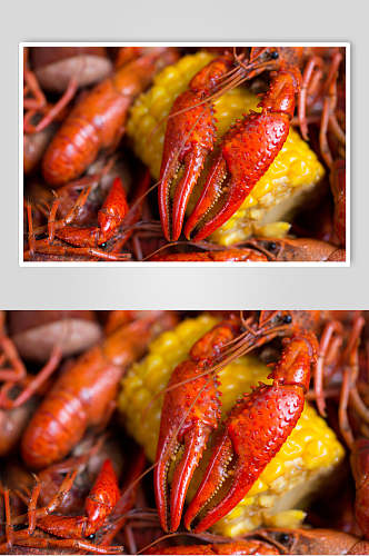 玉米红色小龙虾图片