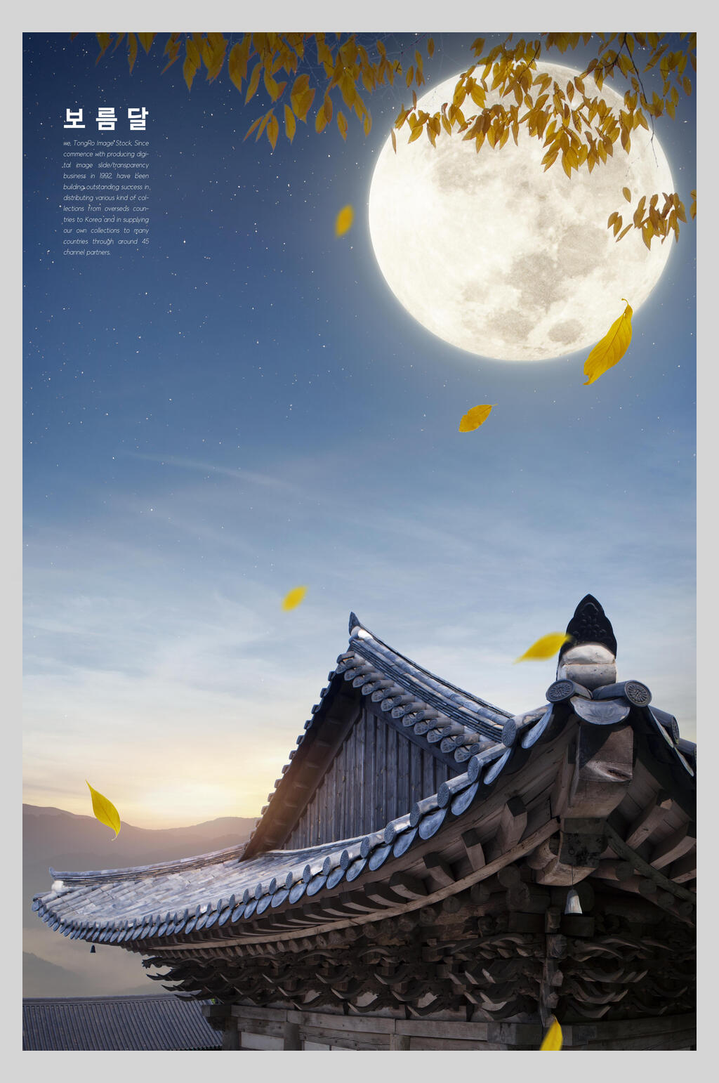 明月简约韩国中秋节海报素材